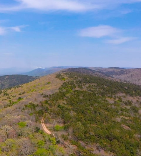 Wooded land in southeastern Oklahoma featured in Blue River Realty blog
